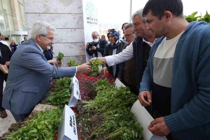 Bursa’da 400 Bin Fide Toprakla Buluşacak