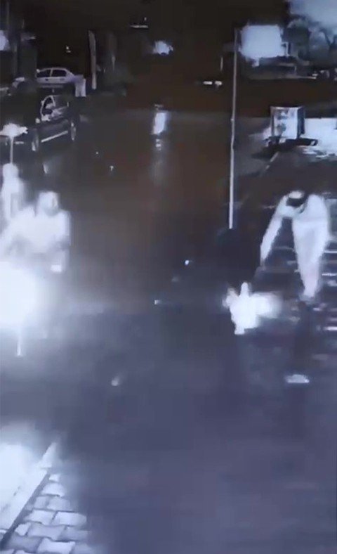 Kartal’da Pes Dedirten Hırsızlık: Ördekleri Çaldılar