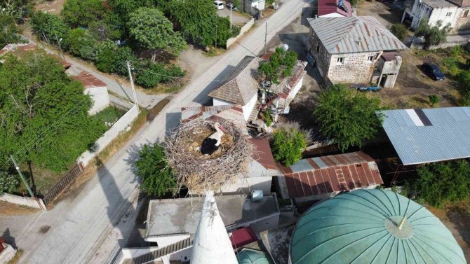 45 Yıldır Aynı Caminin Minaresine Yuva Yapıyorlar
