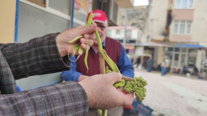 Şifa Deposu ‘Işkın’ Tezgahlardaki Yerini Aldı