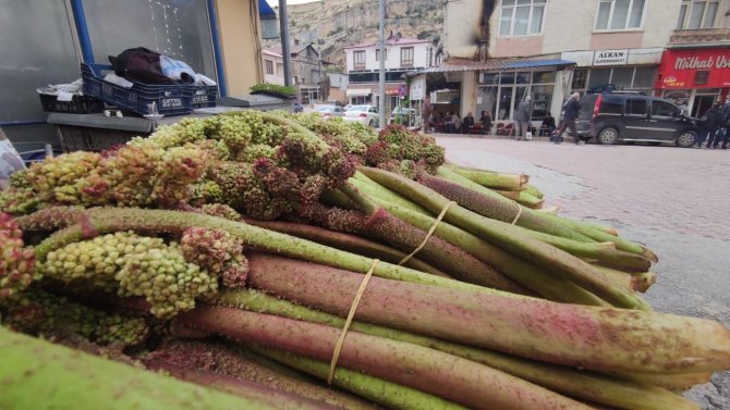Şifa Deposu ‘Işkın’ Tezgahlardaki Yerini Aldı