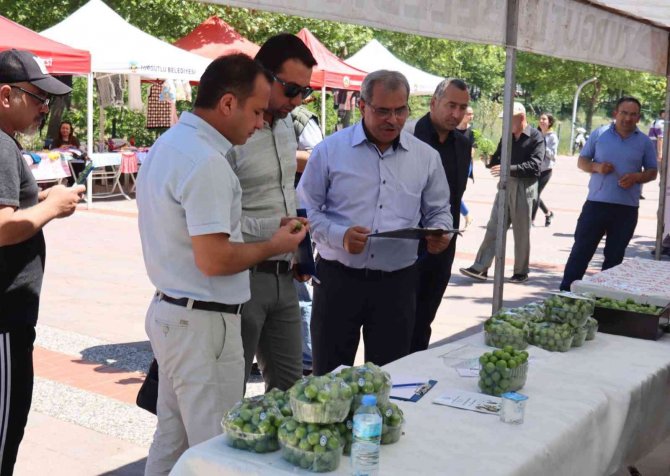 Turgutlu’da ‘En Güzel Erik Yarışması’ Düzenlendi