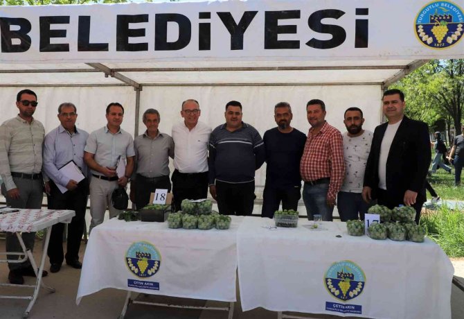 Turgutlu’da ‘En Güzel Erik Yarışması’ Düzenlendi