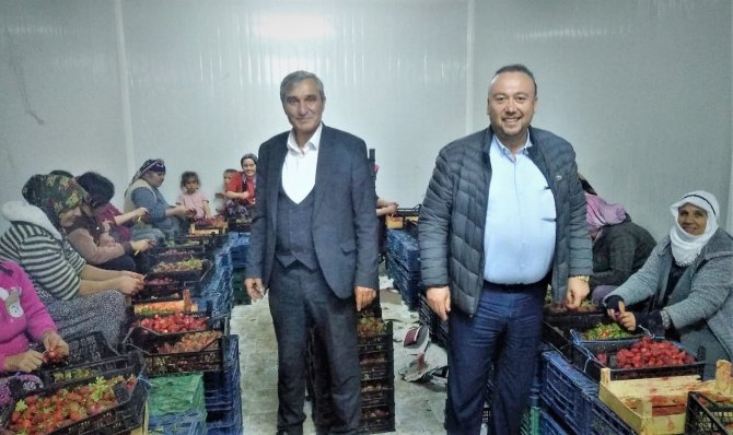 Sivaslı’da Belediyeden Kadınlara İş İmkanı