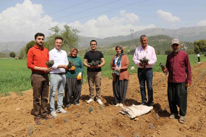 Kadınlar Dikiyor, Anadolu Lavanta Kokuyor