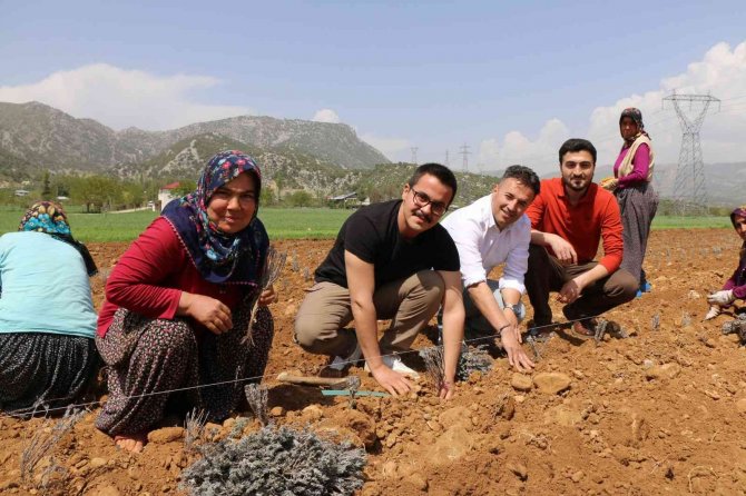 Kadınlar Dikiyor, Anadolu Lavanta Kokuyor