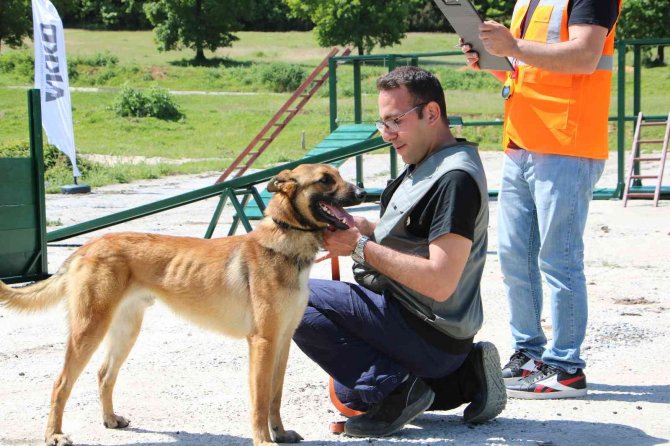 Arama Kurtarma Köpeklerinden Başarılı Sınav