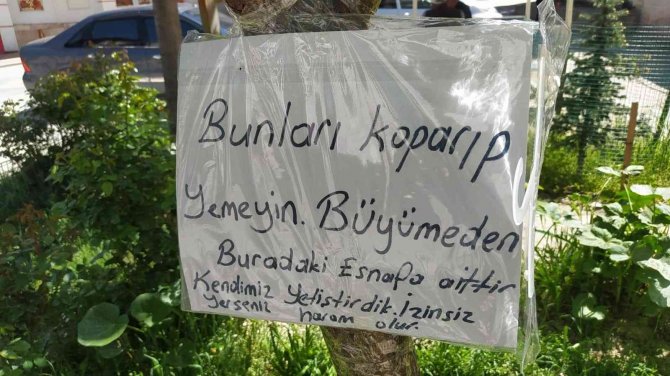 Balıklı Caddesi Esnaflarından "Olgunlaşmadan Koparmayın" Uyarısı