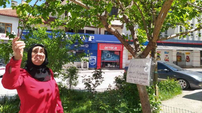 Balıklı Caddesi Esnaflarından "Olgunlaşmadan Koparmayın" Uyarısı