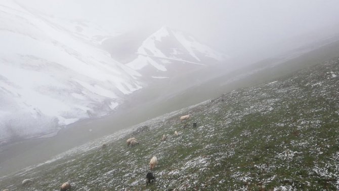 Bayburt - Trabzon Arasındaki Yaylalarda Kar Yağışı