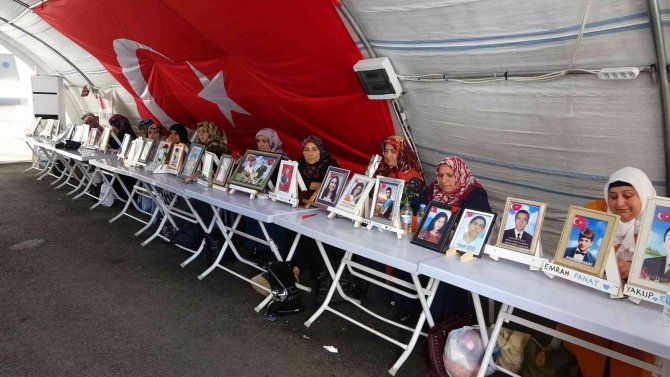 Ailelerin Kararlı Direnişi 981’inci Gününde