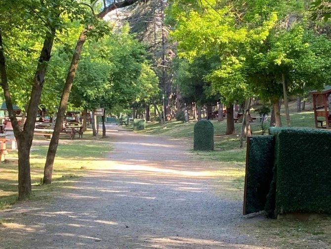Domuz Sürüsü Tabiat Parkına İndi
