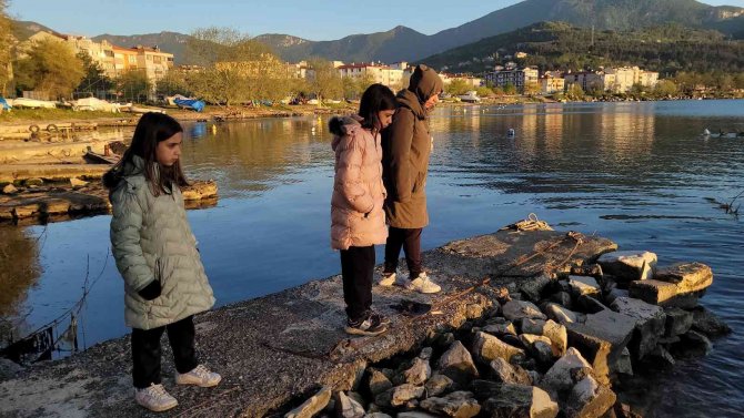 Sahile Vuran Yavru Yunus Balığı, Kayıkla Denize Bırakıldı