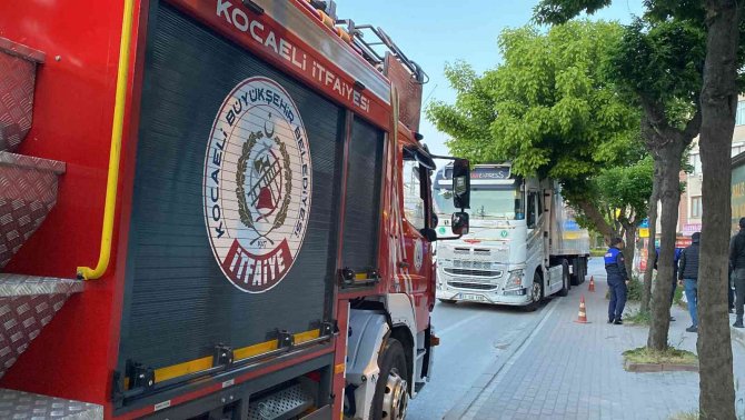 Park Etmeye Çalışan Tırın Üzerine Ağaç Devrildi