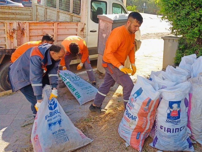 Körfez’de Bahar Temizliği