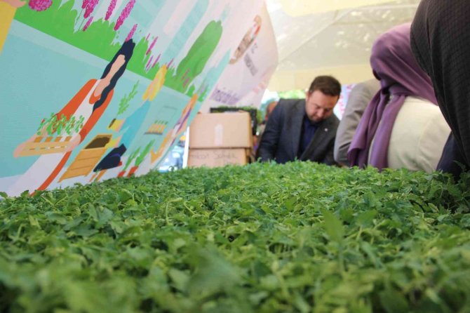 Bedava Fide Dağıtımında İzdiham