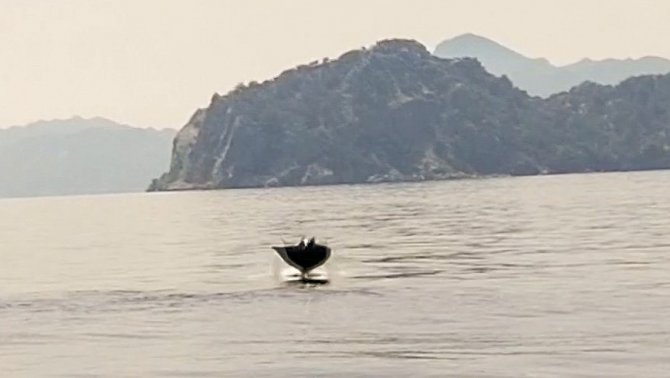 Marmaris Açıklarında ’Hayalet Vatoz’ Sürprizi