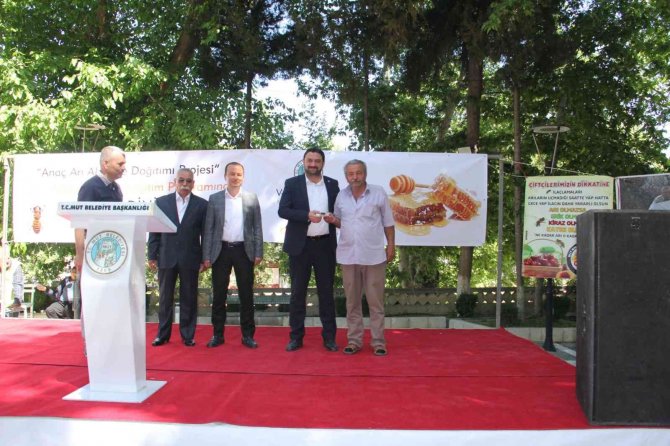 Mut’ta Bal Üreticilerine Kafkas Irkı Anaç Arı Dağıtıldı