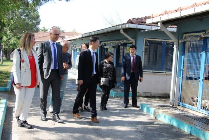 Can Dostlara Atıklardan Barınak Yaptılar