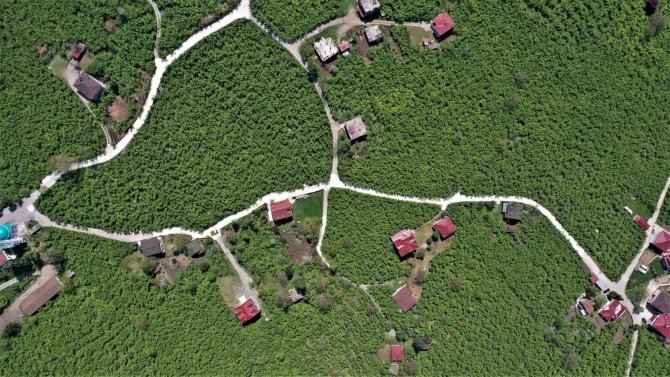 Altınordu’da 33 Mahalle Beton Hizmetine Kavuştu