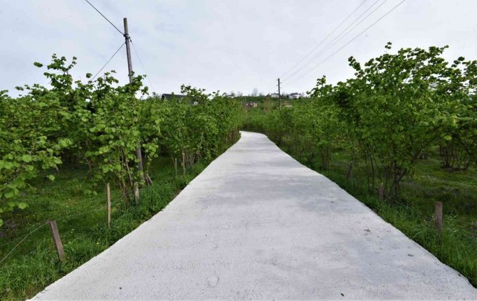 Altınordu’da 33 Mahalle Beton Hizmetine Kavuştu