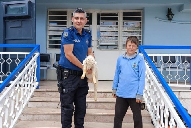 12 Yaşındaki Aykut İle Yavru Keçi ’Saniye’yi, Polis Kavuşturdu