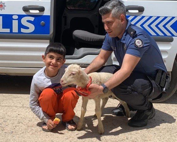 12 Yaşındaki Aykut İle Yavru Keçi ’Saniye’yi, Polis Kavuşturdu