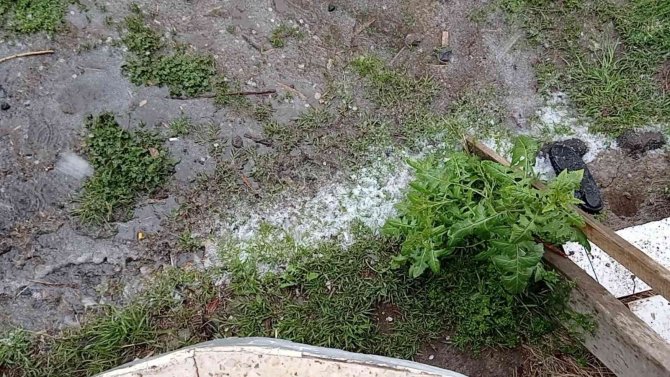 Erciş’te Yağmur Ve Dolu Yağışı
