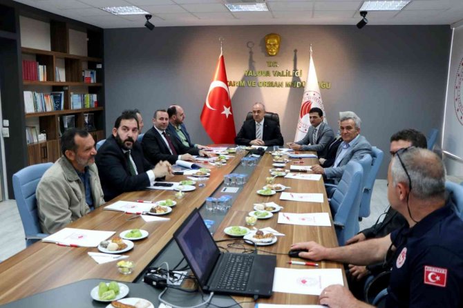 Yalova Balık Mezatı Projesi Masaya Yatırıldı