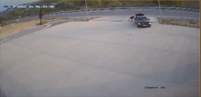 Lüks Otomobille Mazgalları Çaldılar