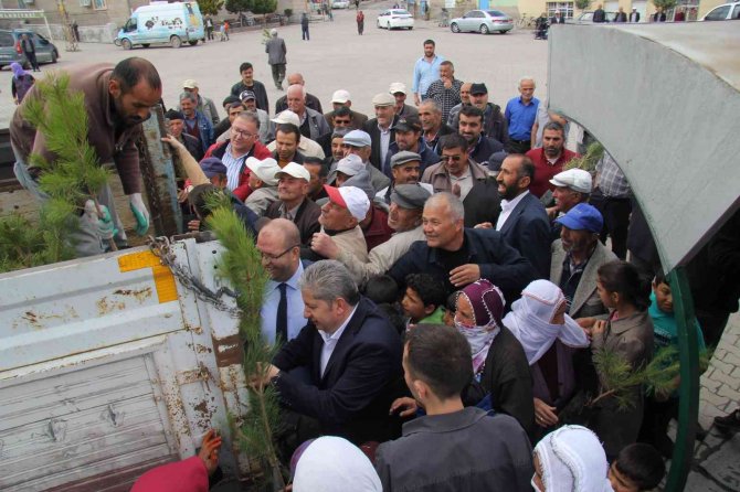 Bünyan’da Fidan Dağıtımı Yapıldı