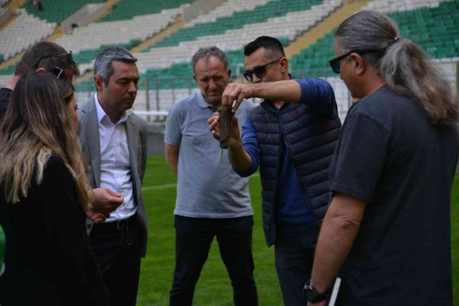 Bursaspor’da Çim Sahalar Yenileniyor