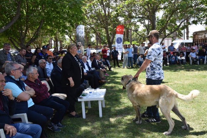 Ceyhan’da "Patili Dostlar Güzellik Yarışması"