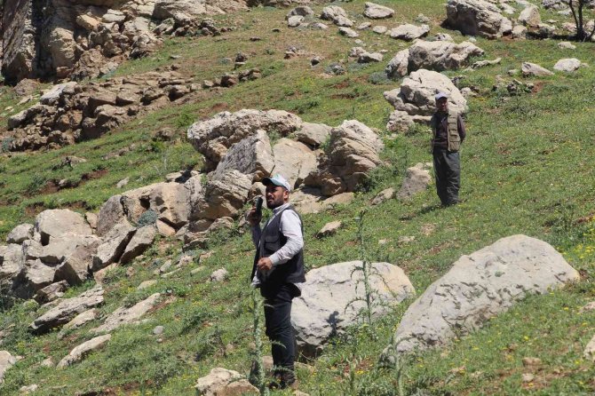 Gabar Dağı’nda İki Gündür Kayıp Olan Vatandaşı Bulma Çalışmaları Devam Ediyor