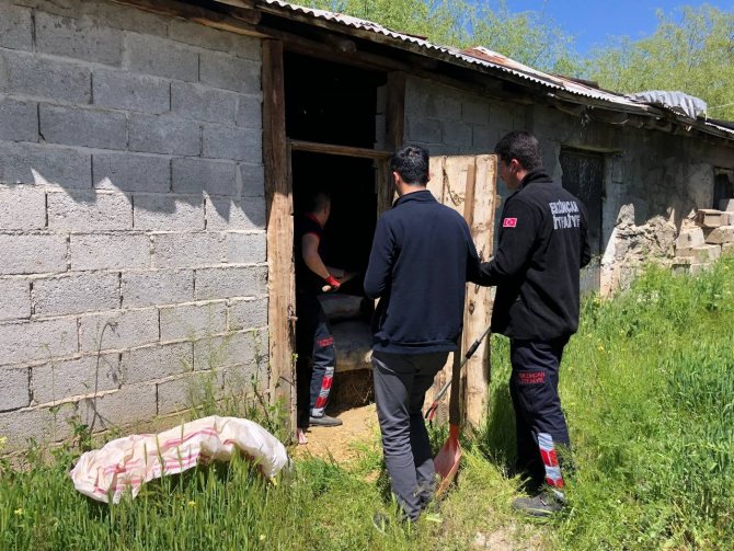 İ̇tfaiye Ekibi Samanlıkta Yılan Aradı
