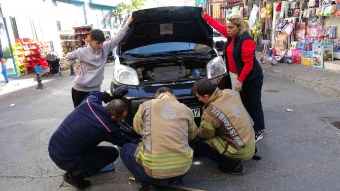 Fatih’te Vatandaşlar Aracın Motoruna Sıkışan Yavru Kedi İçin Seferber Oldu