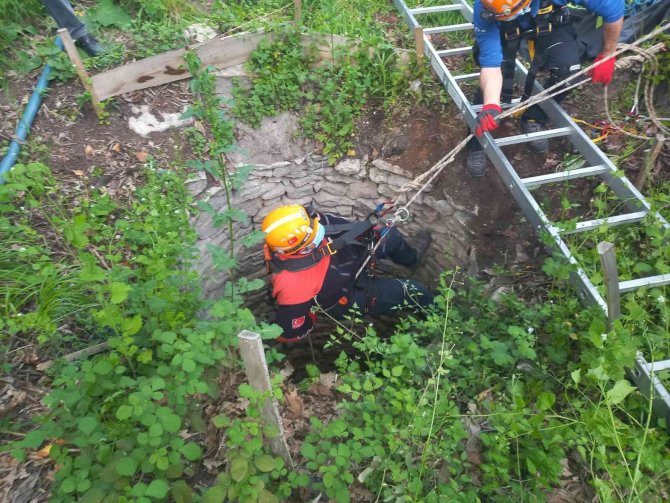 8 Metre Derinlikteki Su Kuyusuna Düşen Köpekler Kurtarıldı