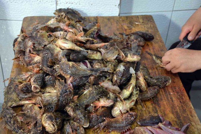 Karadeniz’in ‘Çarpanı’ Tezgahta Kendini Gösterdi