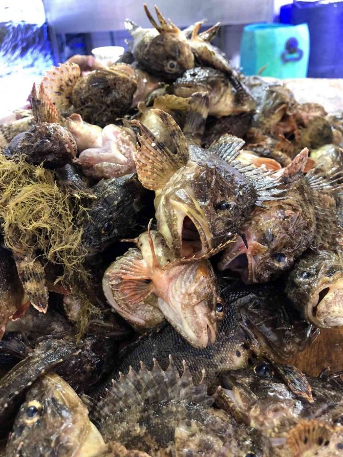 Karadeniz’in ‘Çarpanı’ Tezgahta Kendini Gösterdi