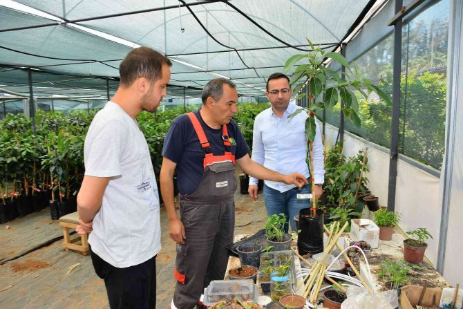 Matso Başkanı Güngör: “İ̇hracat Yapan Firmalarımızı Destekliyoruz”