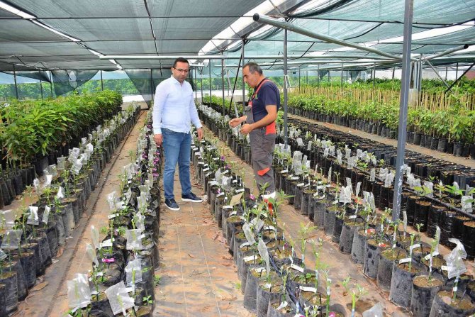 Matso Başkanı Güngör: “İ̇hracat Yapan Firmalarımızı Destekliyoruz”