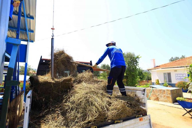 Büyükşehir İle Ürünlerin Değeri Artıyor, Üretici Kazanıyor
