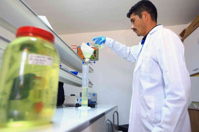 Büyükşehir İle Ürünlerin Değeri Artıyor, Üretici Kazanıyor