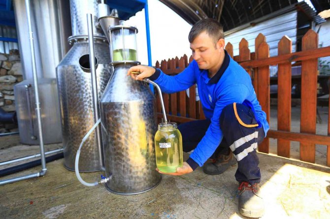 Büyükşehir İle Ürünlerin Değeri Artıyor, Üretici Kazanıyor