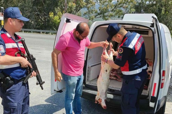 Kaçak Kesim Havyan Eti Yakalandı