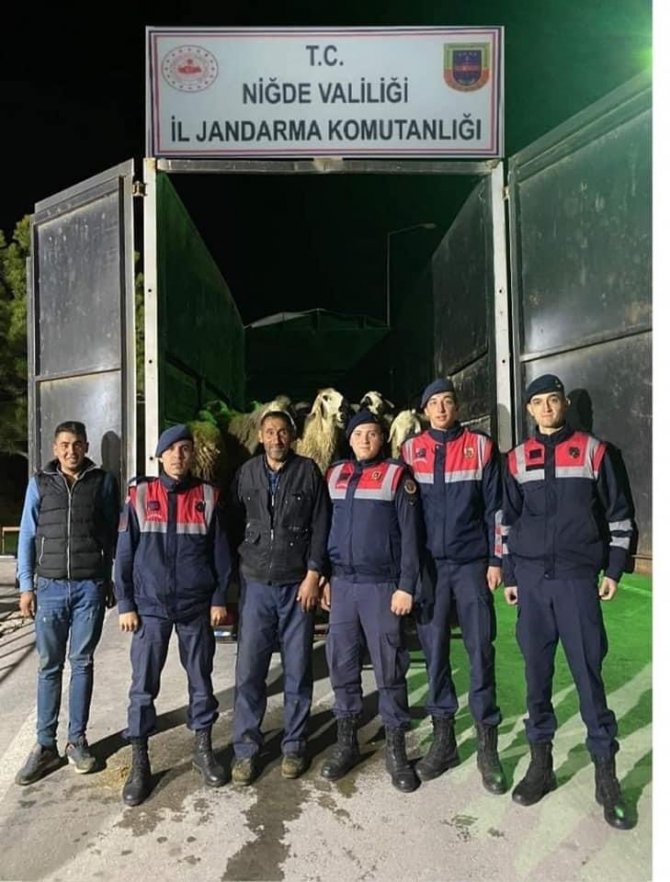 Jandarma Koyun Hırsızını Kısa Sürede Yakaladı