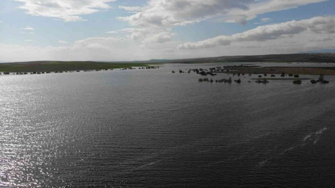 Bu İlçe Taşıma Suyla Tarım Gelirini 5’e Katladı