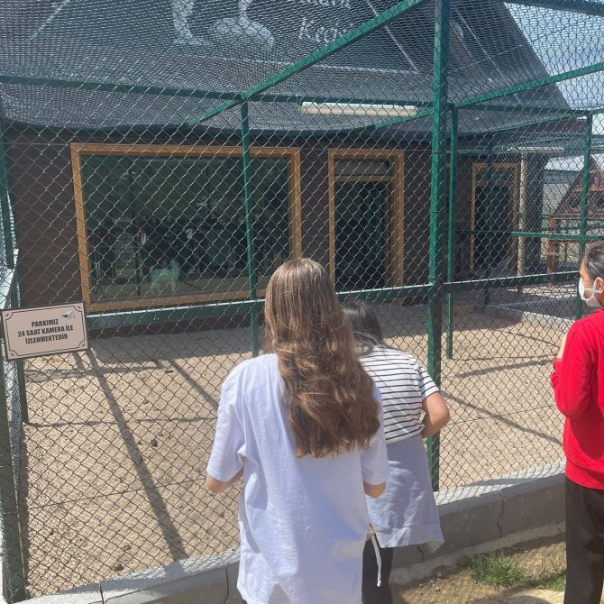 Ankaralı Çocuklar Pursaklar’da Doğayla Bağ Kurarak Öğreniyor