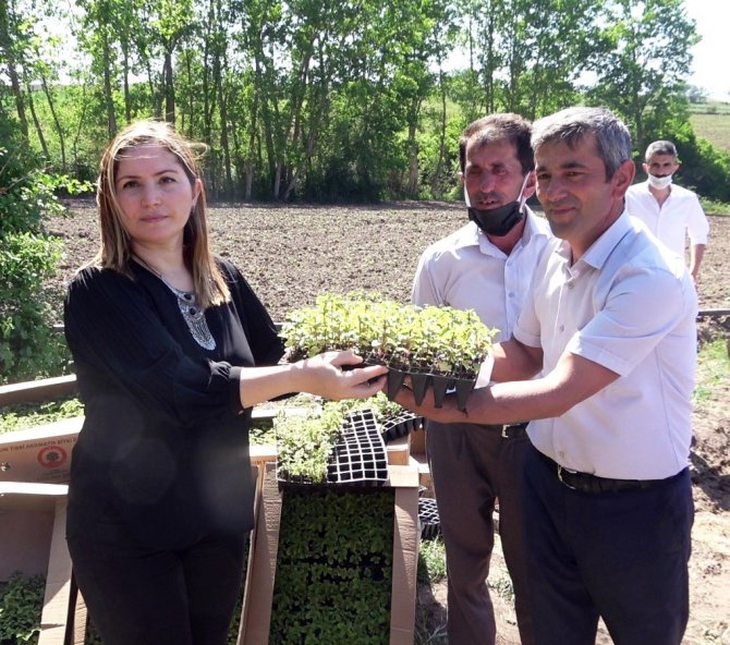 Tarıma Destek 10 Kat Arttı