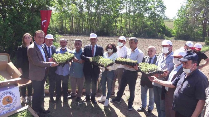 Tarıma Destek 10 Kat Arttı